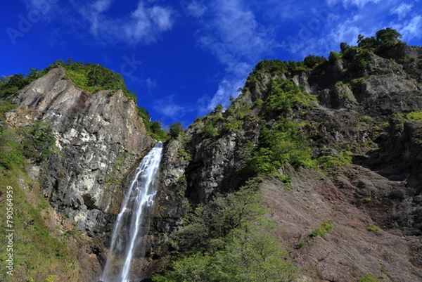 Fototapeta 白山ふくべ大滝