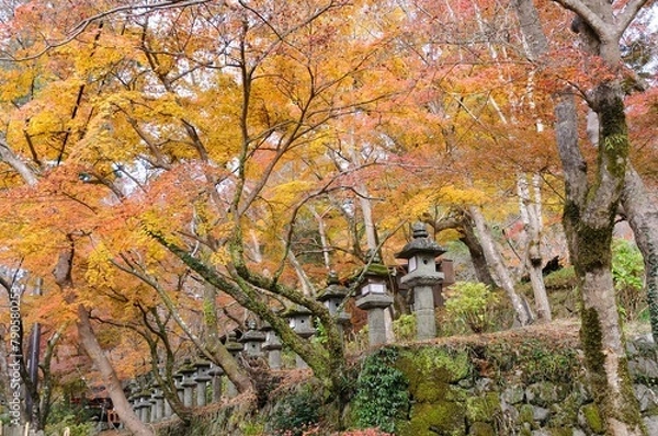 Obraz 社寺と紅葉