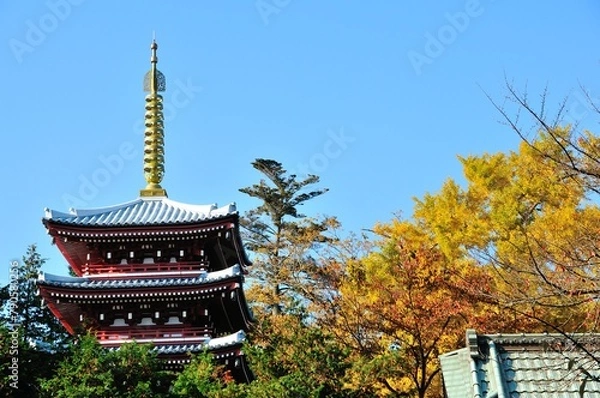 Obraz 社寺と紅葉