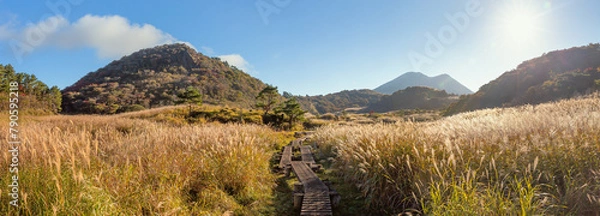 Obraz くじゅうの雨ヶ池