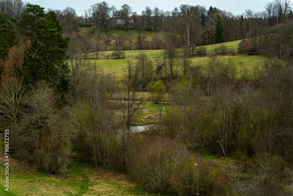 Obraz landscape with trees in spring