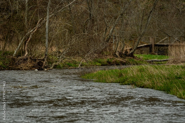 Obraz The Abava River casts its bows
