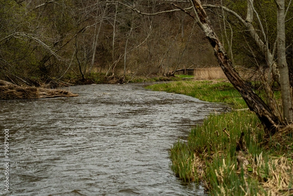 Obraz The Abava River casts its bows