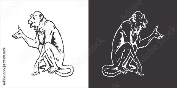 Fototapeta Illustration vector graphics of monkey icon