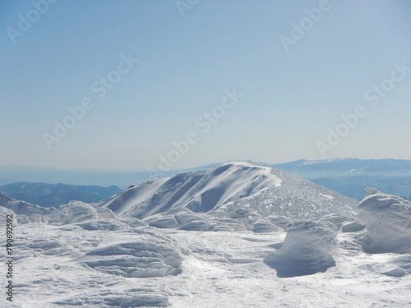 Fototapeta 雪に覆われた南蔵王 樹氷 雪山