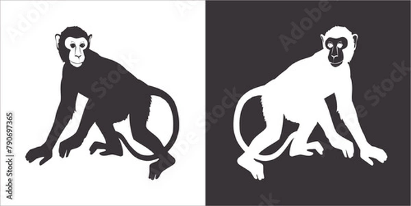 Fototapeta Illustration vector graphics of monkey icon