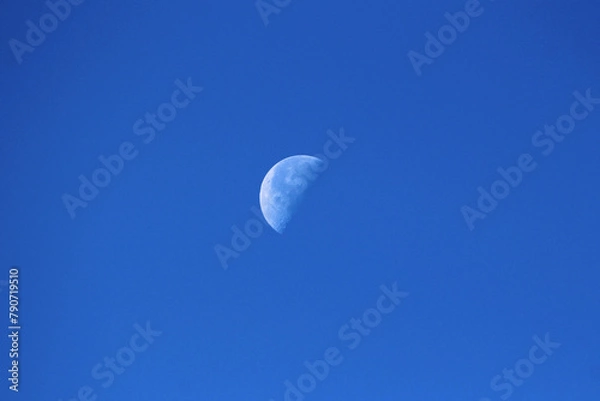 Fototapeta The Moon as Earths only natural satellite clearly visible in its Waning gibbous Moon phase on clear blue sky early in the morning