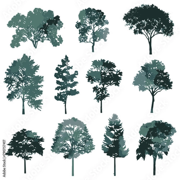 Fototapeta Trees, set of elevation trees