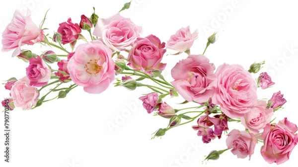 Obraz Pink roses