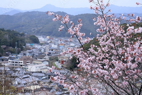 Obraz 牧野公園からの眺め　花見の季節　（高知県　佐川町）