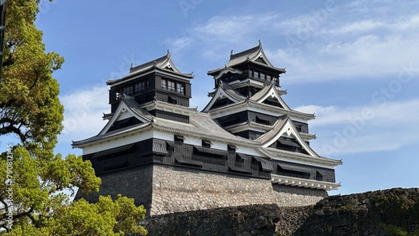 Fototapeta 熊本城