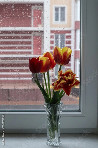 Fototapeta Colorful tulips in vase on the windowsill at rainy weather. Home decor with flowers.