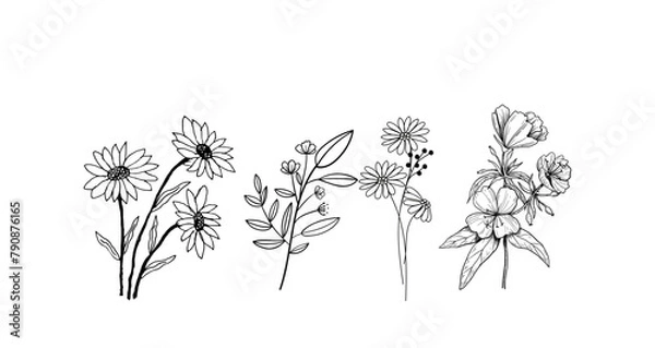 Obraz flower set line one art isolated vector illustration