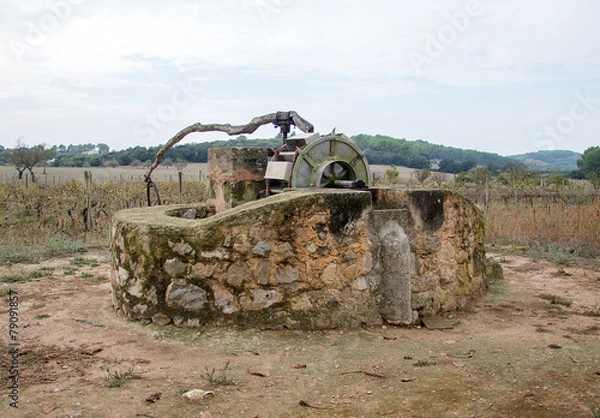 Fototapeta Very old donkey-driven drawing well.