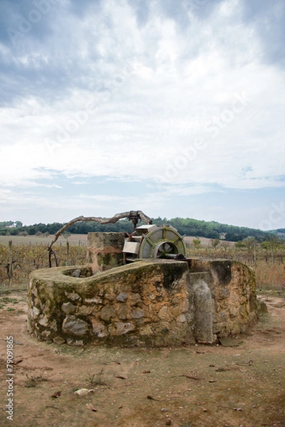 Fototapeta Very old donkey-driven drawing well.