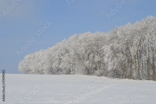 Obraz Wald, Anfang, Schnee, Eis, Winter