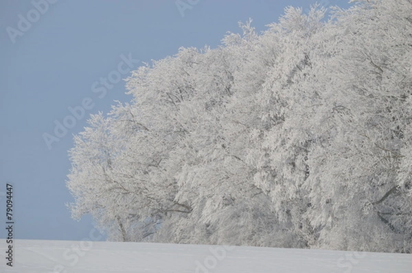 Obraz Wald und Eis, Schnee und Winter