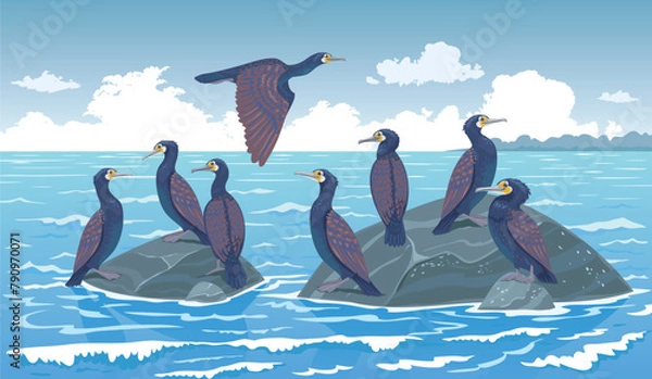 Obraz birds cormorant