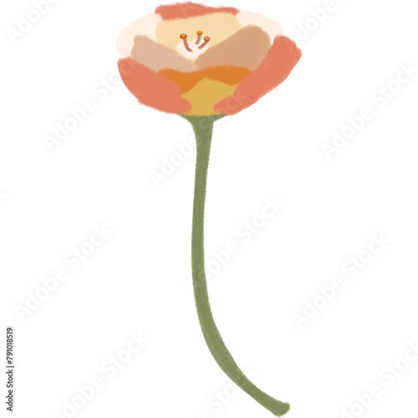 Obraz flower minimal abstract material