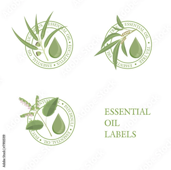 Obraz GREEN ESSENTIAL OIL LABELS _ patchouli_teatree_eucalyptus