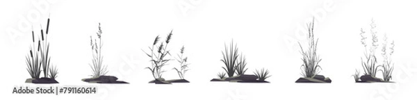 Fototapeta Cattail, reeds, cane, sedge, bluegrass and other marsh and steppe grass - a set of silhouette vector drawings of plants near stones isolated on a white background.