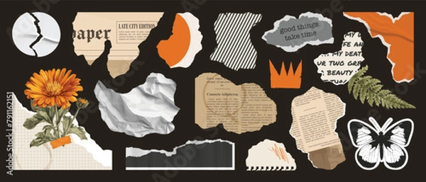 Fototapeta Set of paper cut elements, torn newspaper, collage plants, scrap notebook sheet, retro gazette, torn wrinkled sticker, stamp butterfly, quotes, crown. Trendy collage vector set, retro grunge stickers.