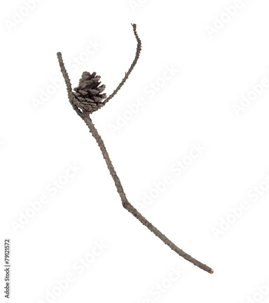 Fototapeta 자연이미지