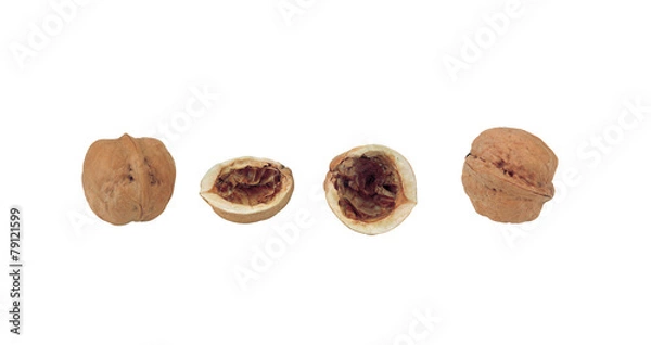 Fototapeta 음식이미지