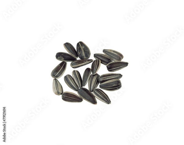 Obraz 자연이미지