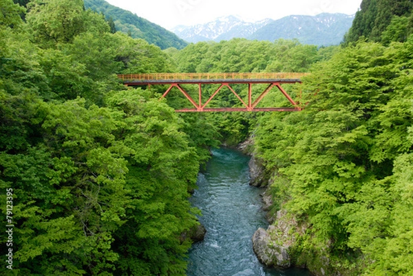 Obraz 新緑の渓谷