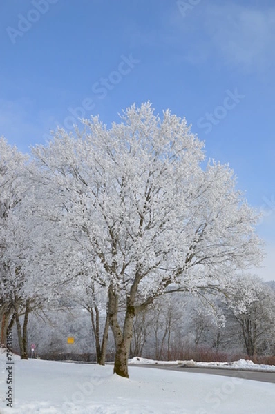 Obraz einen schönen Tag im Winter
