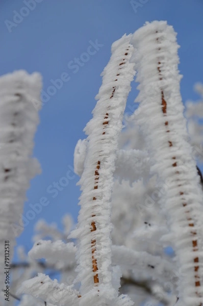 Obraz Zweige, Eis, Schnee