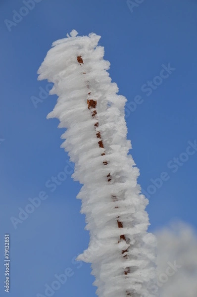 Obraz Zweige mit Eis