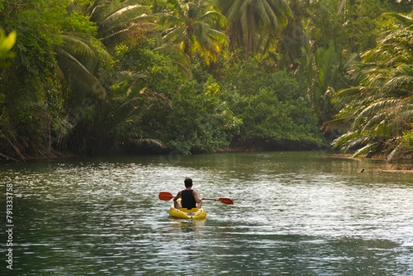 Fototapeta Asian traveller man kayaking on a muddy small river to see the mangrove forest, Thailand. There are many palm trees.(mangrove palm, nipa palm). Landscape travel and tourist concept..