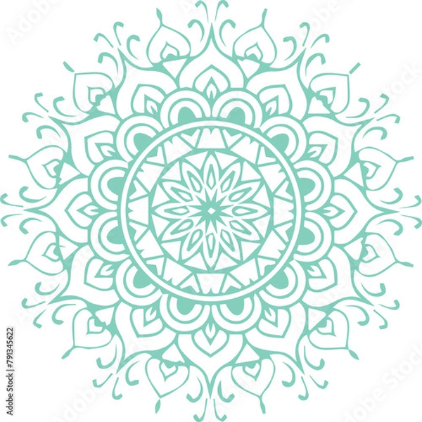 Fototapeta Beautiful flower art and mandala vector design