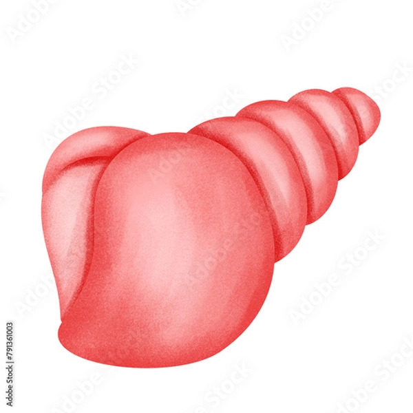 Fototapeta nautical shell