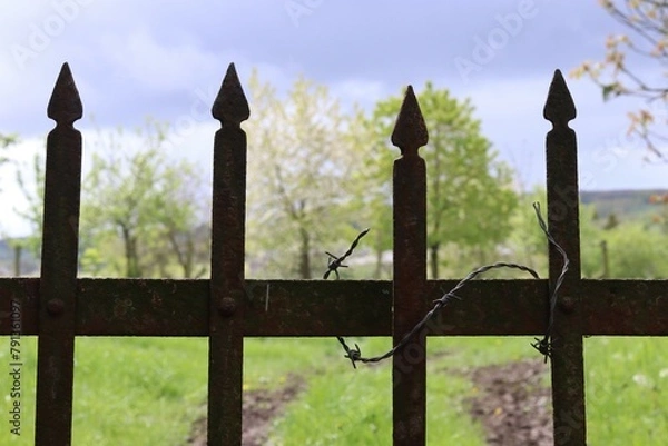 Obraz Old metal fence with barbed wire