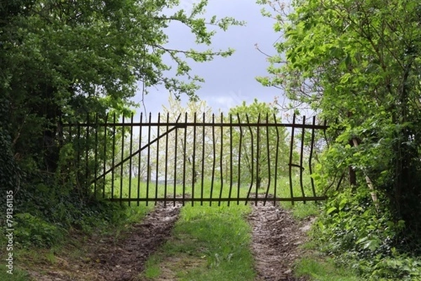 Obraz Old rusted fence with barbed wire