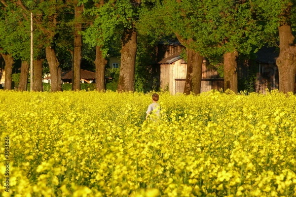 Fototapeta spielende kinder