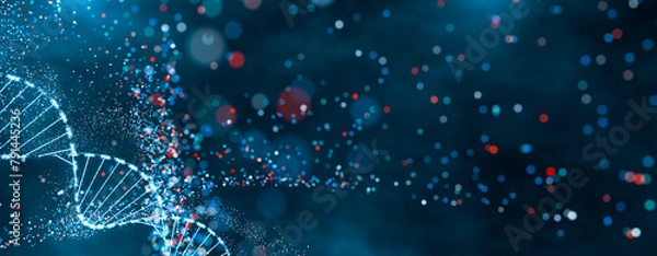 Fototapeta Sparkling DNA helix structure in blue and red. High-tech concept of genetic research, bioinformatics, and computational biology. Abstract visualization with bokeh effect and dynamic particles.