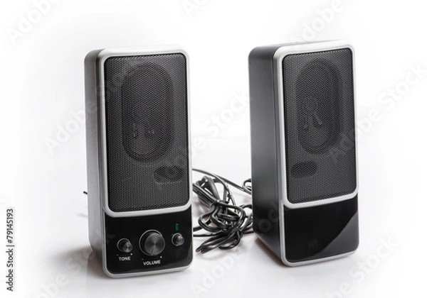 Obraz Black two speaker isolated on white background