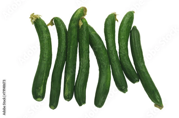 Fototapeta 포토시리즈