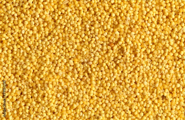 Obraz 포토시리즈