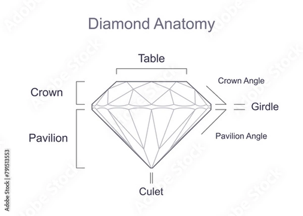 Fototapeta Diamond cut anatomy, parts and their names. Outline icon with editable stroke. Vector illustration