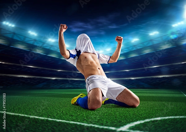 Obraz Soccer player in action