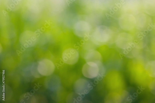 Obraz Green leaf blurred