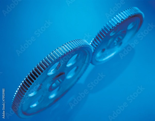 Fototapeta 포토시리즈