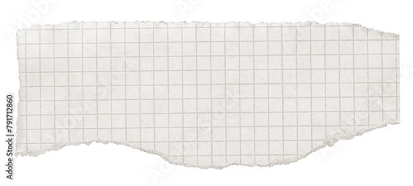 Fototapeta White Ripped Paper Scrap. Graph Paper with Torn Edge, Scrapbook Sticky Notes, Notebook Page