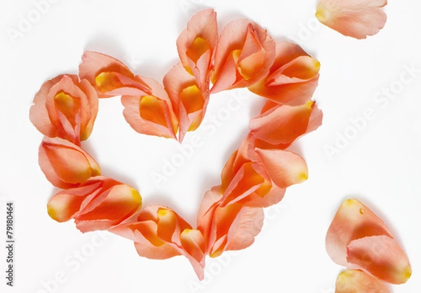 Obraz rose petals (heart shape)