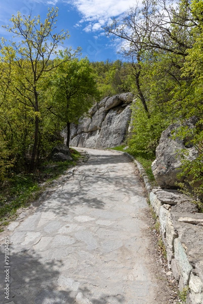 Fototapeta A stone trail in the mountains. Green vegetation in spring
